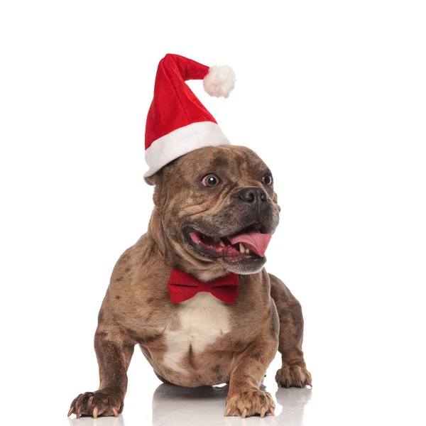 Щасливий американський хуліган у різдвяному капелюсі та червоній косиці — стокове фото