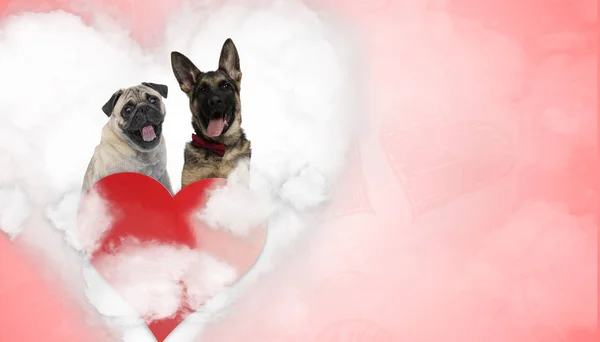 En el amor Pug y pastor alemán cachorro jadeo —  Fotos de Stock