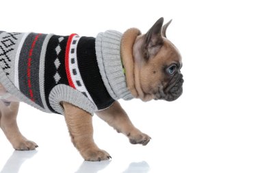 Beyaz arka planda yalnız yürüyen ve kostüm giyen sevimli zorbaların yan görünüşü