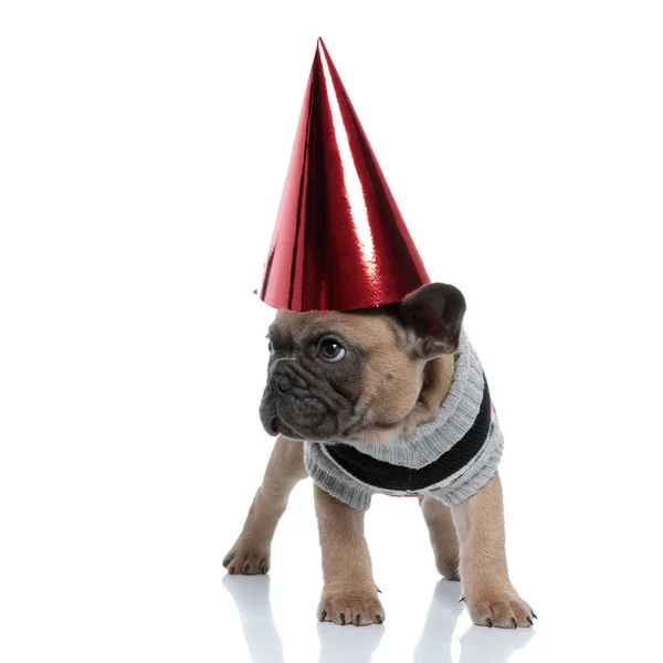 Cute Frenchie Wearing Red Helmet Costume Looking Side Standing Isolated — Stock Photo, Image