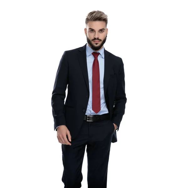 セクシーな若いビジネスマンがポケットに手を取り白い背景に隔離された歩行 — ストック写真
