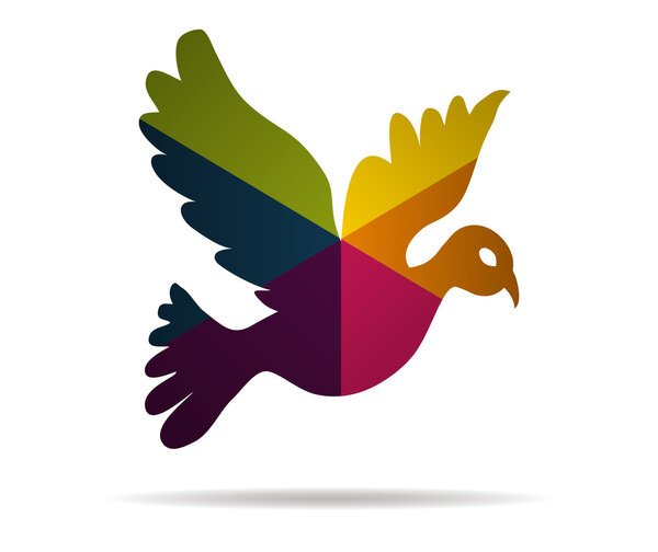 dove multicolor icon vector