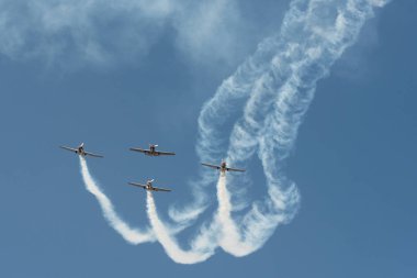 Hava gösterisi, Aero Hindistan 2017