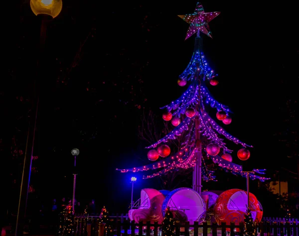 Christmas tree illuminated — Stock Photo, Image