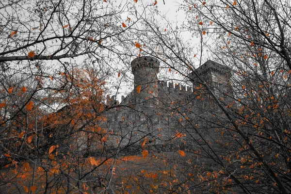  fenis kale dalları arasında görünüm val d'aosta Italia Güz