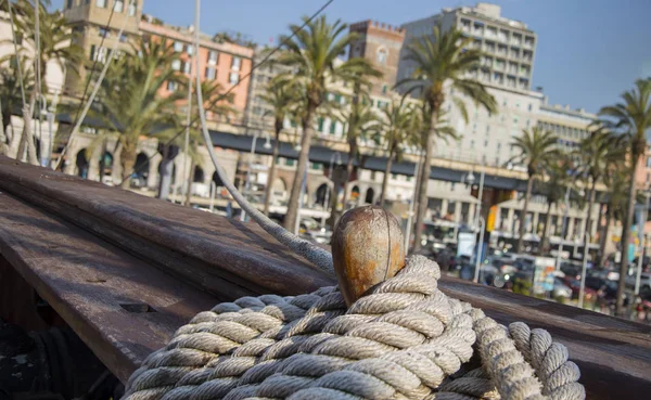 Ahşap ağından yara arma halatları