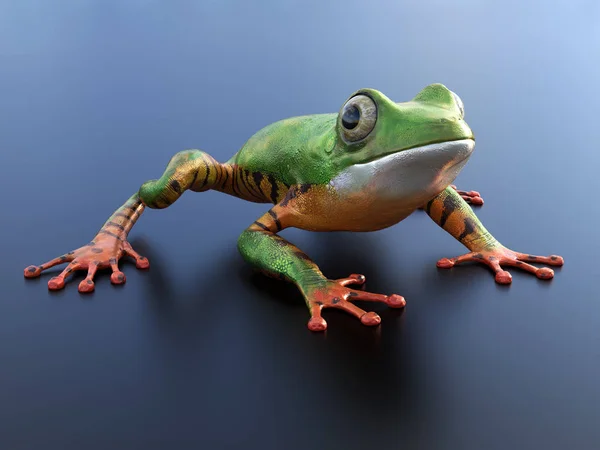 3D rendering of a realistic tree frog. — Stock Photo, Image