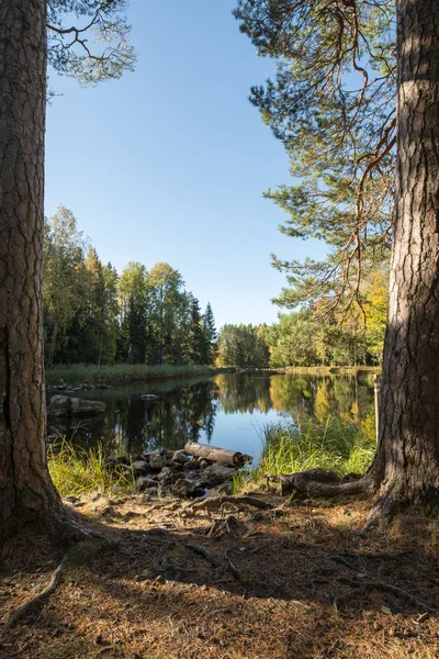 Flod i höst — Stockfoto