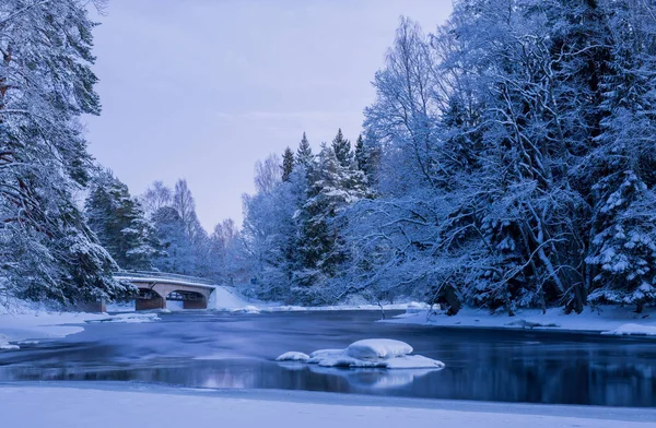 Rio no inverno — Fotografia de Stock