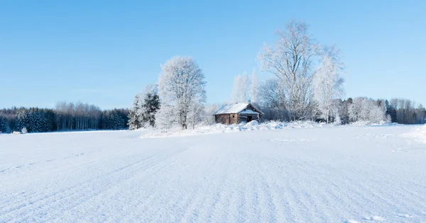 Paisagem no inverno — Fotografia de Stock