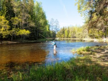 Nehirdeki balıkçı