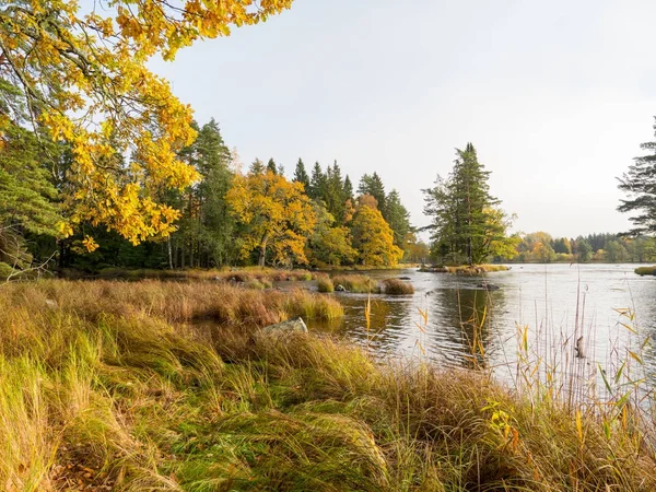 Zona sueca de salmón natural en otoño . — Foto de Stock