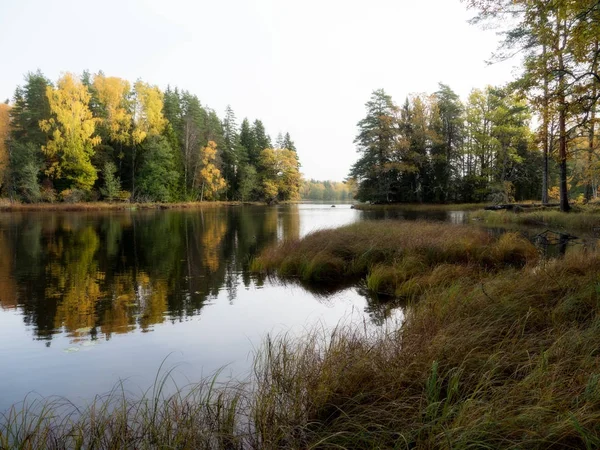 Zona de salmão natural sueca no Outono . — Fotografia de Stock