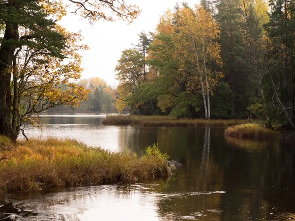 Szwedzki naturalny obszar łososia w jesieni. — Zdjęcie stockowe