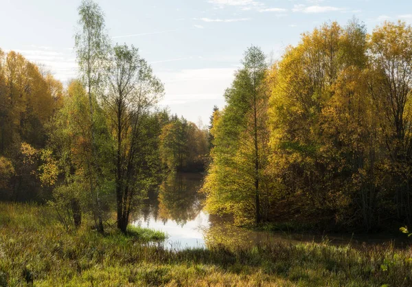 Svenska lax naturområde i höst. — Stockfoto