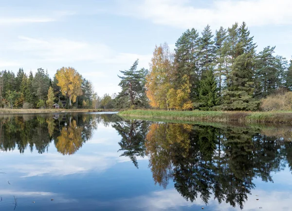 Swedish natural salmon area in autumn. — Stock Photo, Image