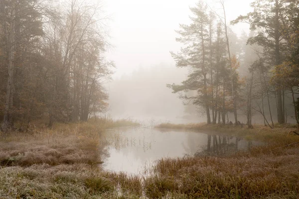 Река в тумане — стоковое фото