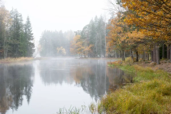 Rivier in mist — Stockfoto