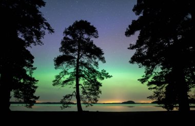 Güzel kuzey ışıkları