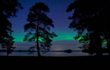 Güzel kuzey ışıkları