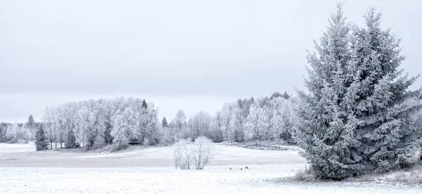 Krajobraz zimą — Zdjęcie stockowe