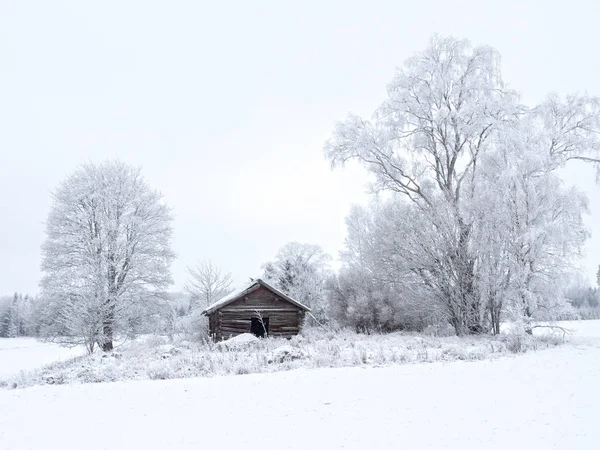 Paisagem no inverno — Fotografia de Stock