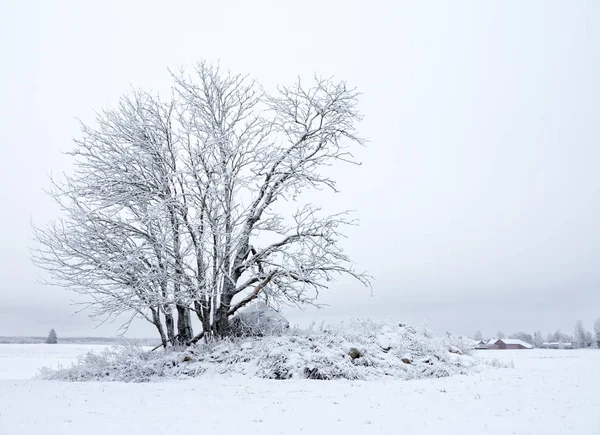 Τοπίο το χειμώνα — Φωτογραφία Αρχείου