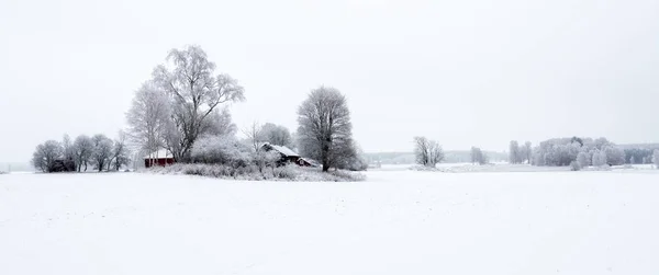 Krajina v zimě — Stock fotografie