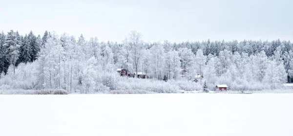Landscape in winter — Stock Photo, Image