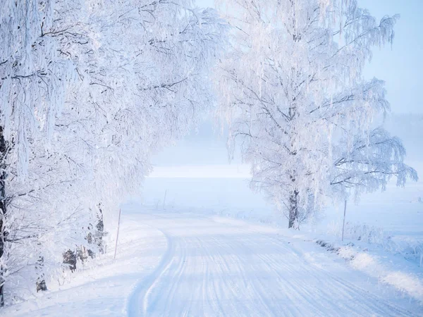 Paisaje en invierno — Foto de Stock
