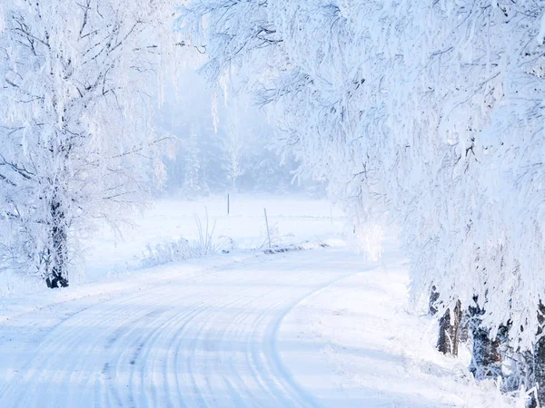 Landskap i vinter — Stockfoto