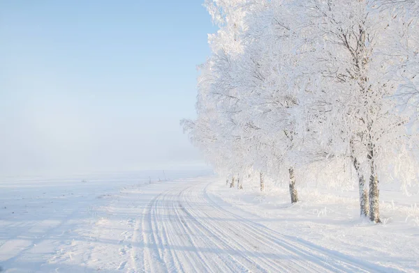 Landskap i vinter — Stockfoto