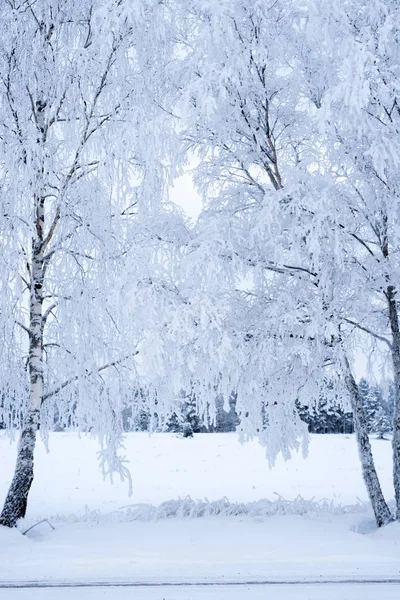 Paesaggio in inverno — Foto Stock