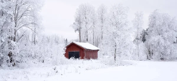 Paisagem no inverno — Fotografia de Stock