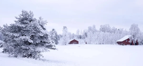 Paisagem no inverno — Fotografia de Stock