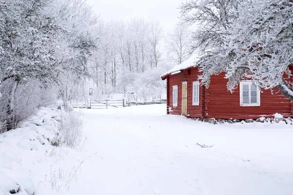 Paisaje en invierno —  Fotos de Stock