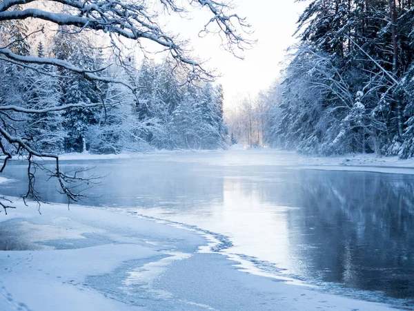 Fiume in inverno — Foto Stock