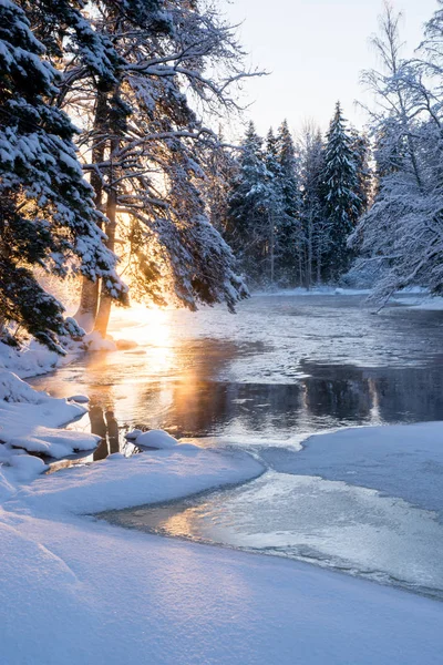 Nehir kışın — Stok fotoğraf