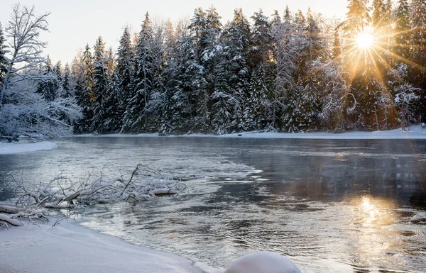겨울철의 강 — 스톡 사진