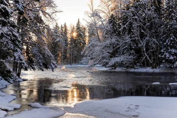 Flod på vintern — Stockfoto