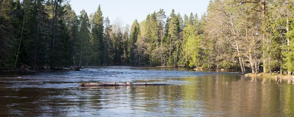 Fluss im Frühling — Stockfoto