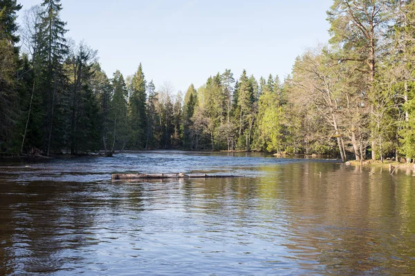 River in spring — Stock Photo, Image