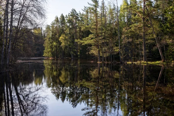 Rivière au printemps — Photo