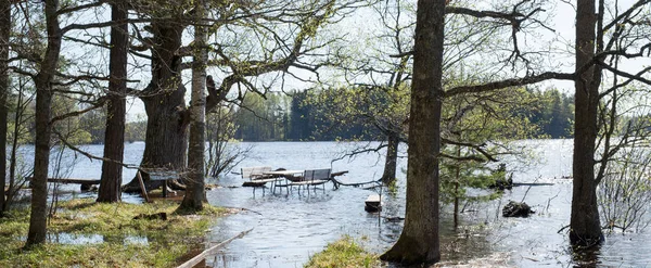 Fiume in primavera — Foto Stock