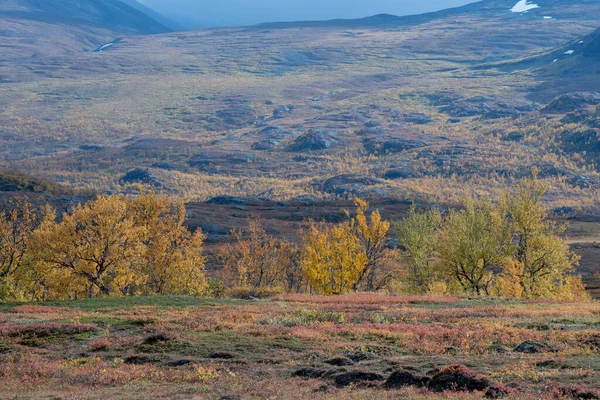 Mountain in autumn — Stock Photo, Image