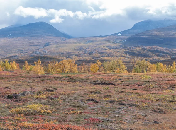 Berg in de herfst — Stockfoto