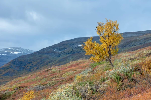 Berg in de herfst — Stockfoto