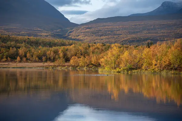 Berg in de herfst — Stockfoto