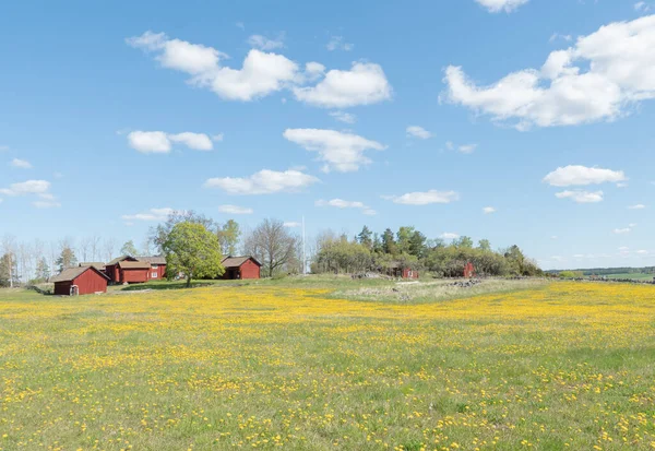 Rural cottage — Stock Photo, Image