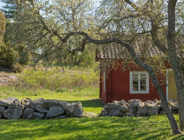 Landelijk huisje — Stockfoto